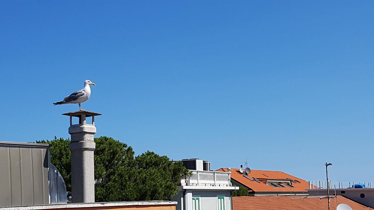 Hotel Le Pleiadi Μπελάρια-Ιτζέα Μαρίνα Εξωτερικό φωτογραφία